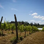 ファームステイ L'isola Crespina