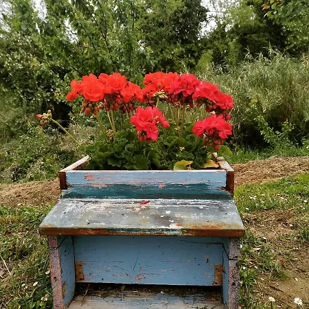 L'isola * Crespina