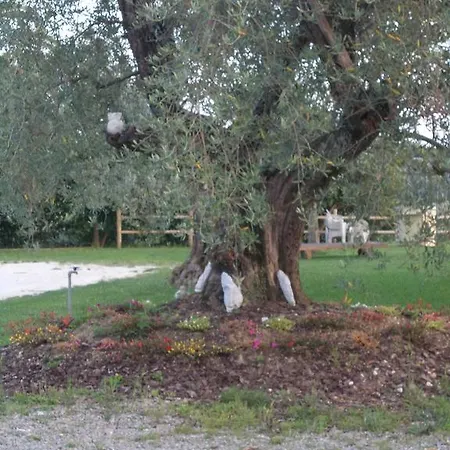 L'isola *