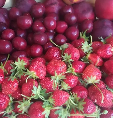 L'isola Farm stay Crespina