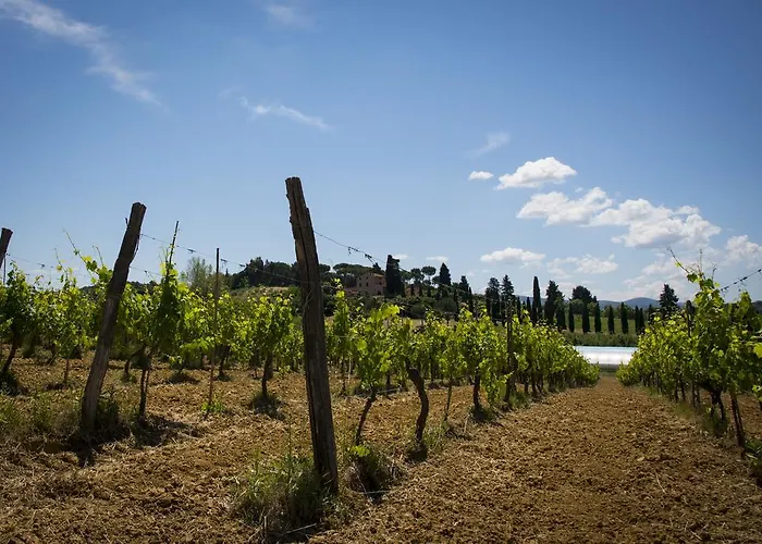 农家乐 L'isola Crespina