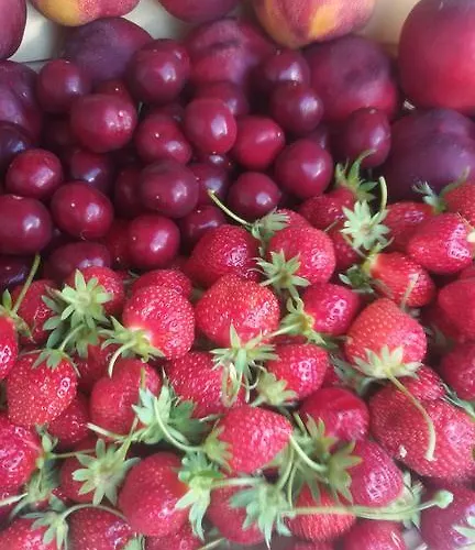 L'isola 农家乐 Crespina